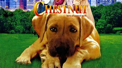 Chestnut: Hero of Central Park streaming online .